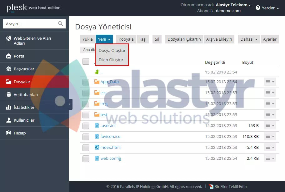 Plesk File Manager Yönetimi