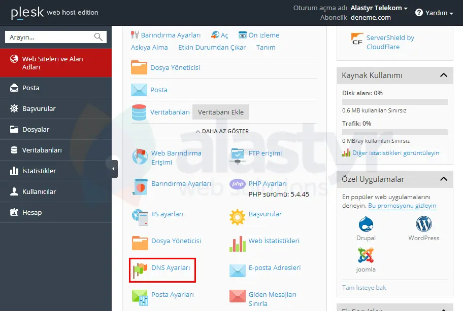 Plesk - Yandex Mail Ayarları (1)