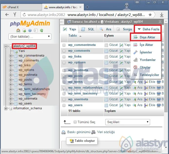 web sitesi manuel taşıma