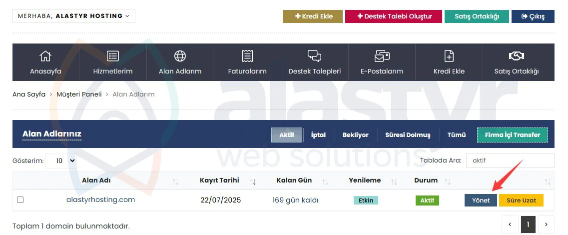 Alan Adı DNS Yönetimi Nasıl Yapılır?