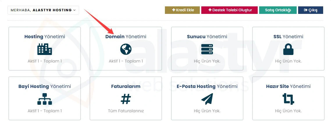 Alan Adı DNS Yönetimi Nasıl Yapılır?