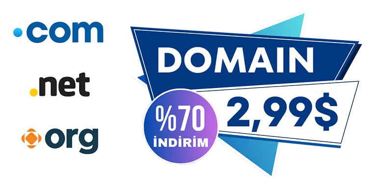 domain-sorgulama
