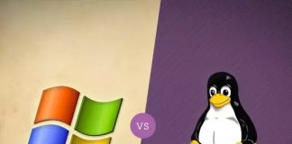 Linux Hosting ile Windows Hosting Arasındaki Farklar