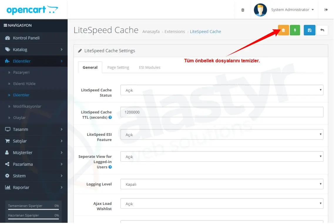 OpenCart Litespeed Cache Temizleme
