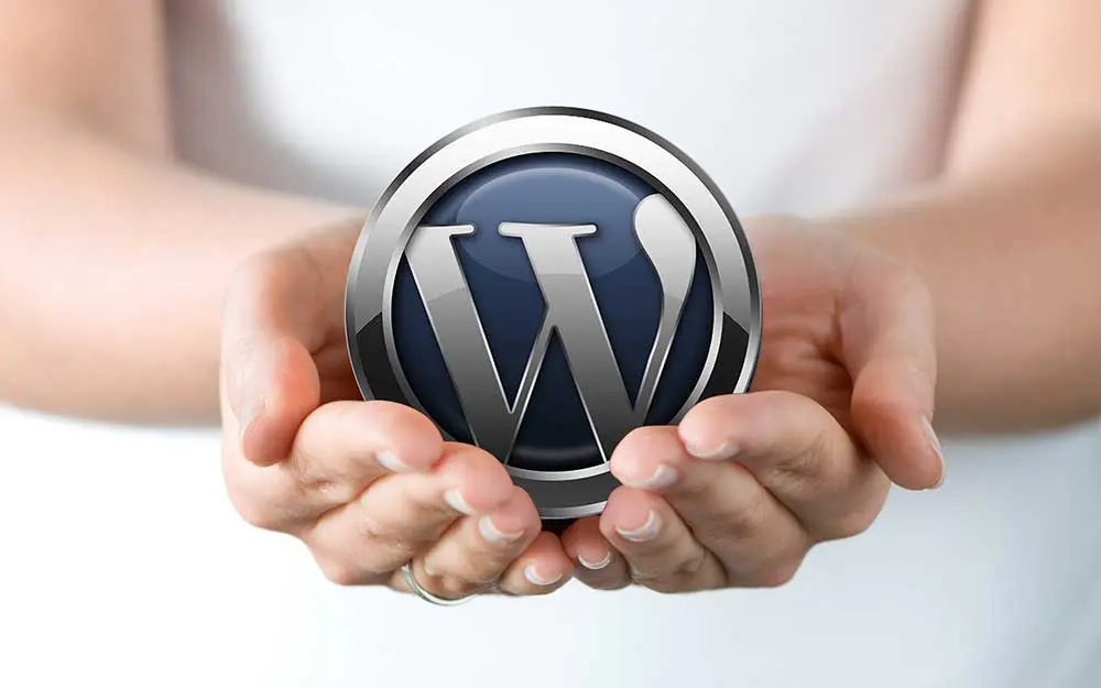 wp-seo-uyumlu-tema-secimi
