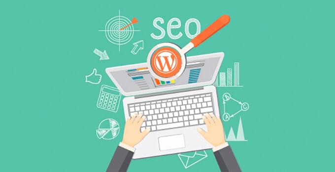 wp site içi seo