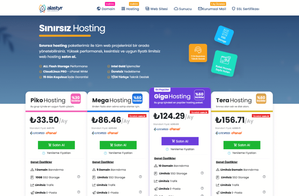hosting seçimi