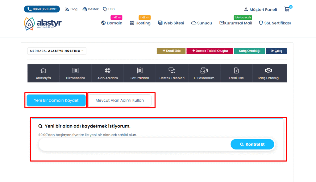 domain seçimi