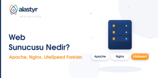 Web Sunucusu Nedir? Apache, Nginx, LiteSpeed Farkları